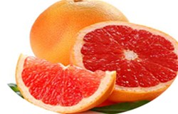 小雏菊